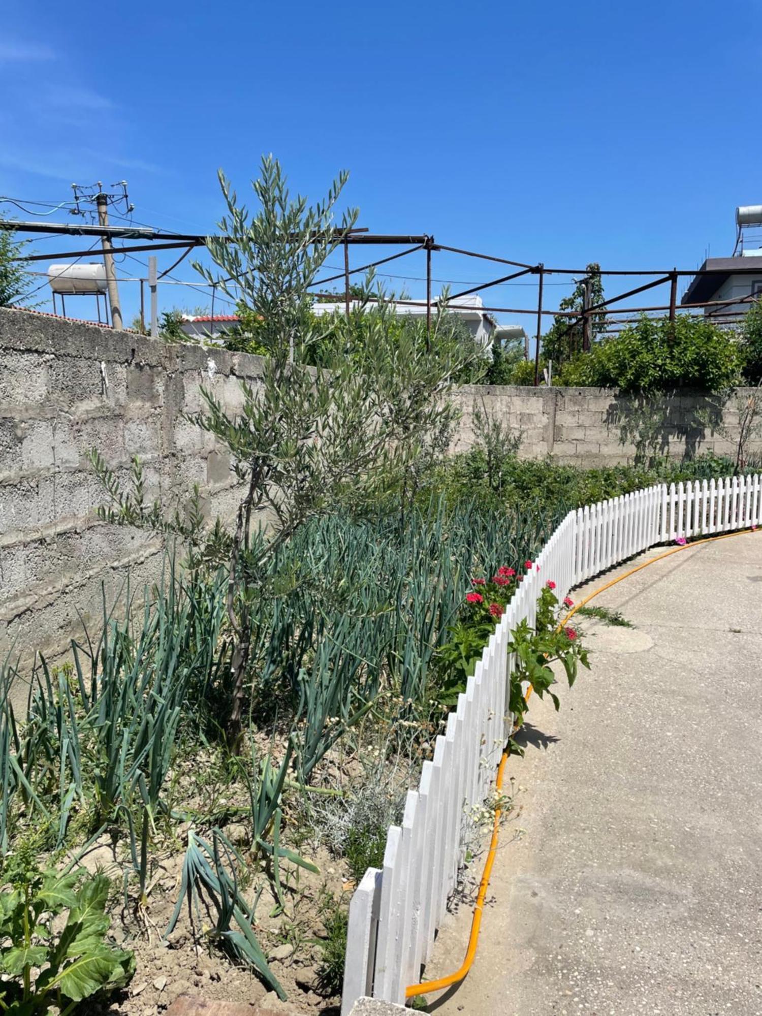 Rental Houses Dukaj Vlore Exterior photo